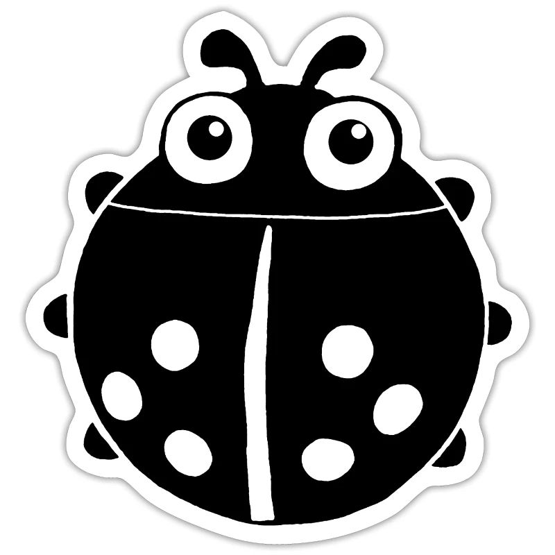 Black ladybug