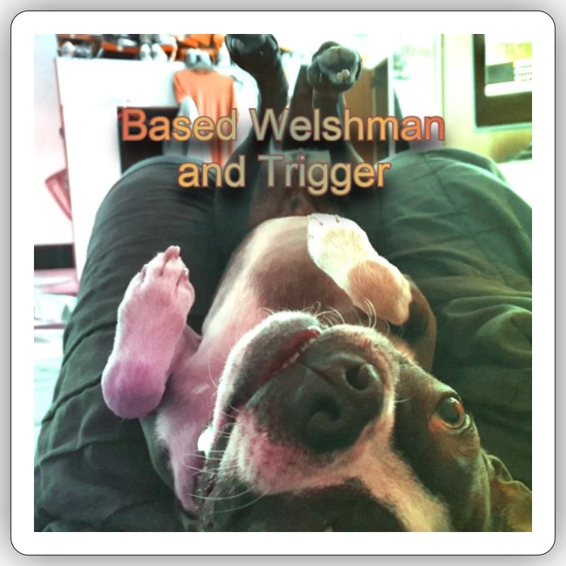 Trigger upside down text