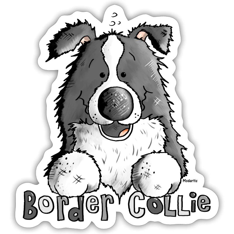 Petit Boder Collie - Chien de Berger