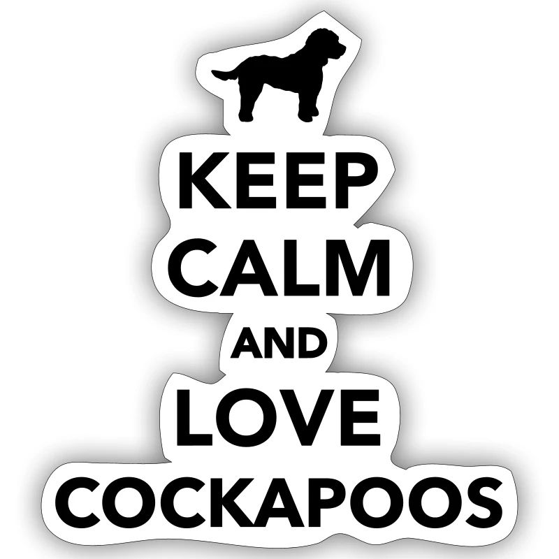 Cockapoo