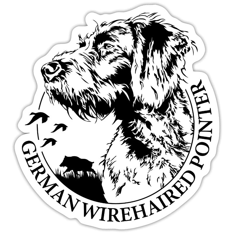 GERMAN WIREHAIRED POINTER Wilsigns Jagdhunde Hund