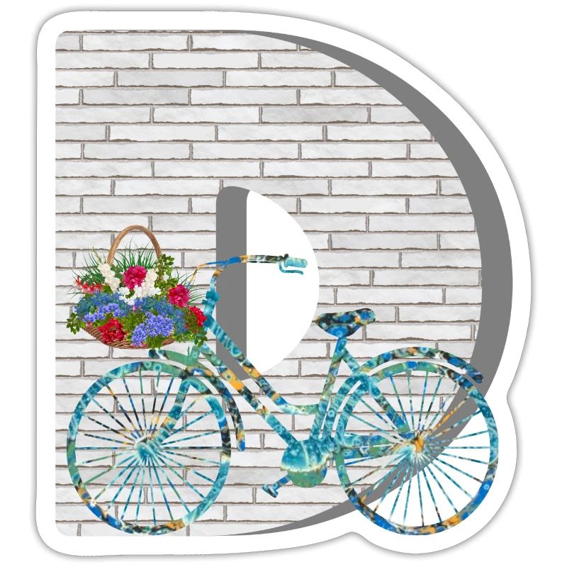bicycle e 100 d