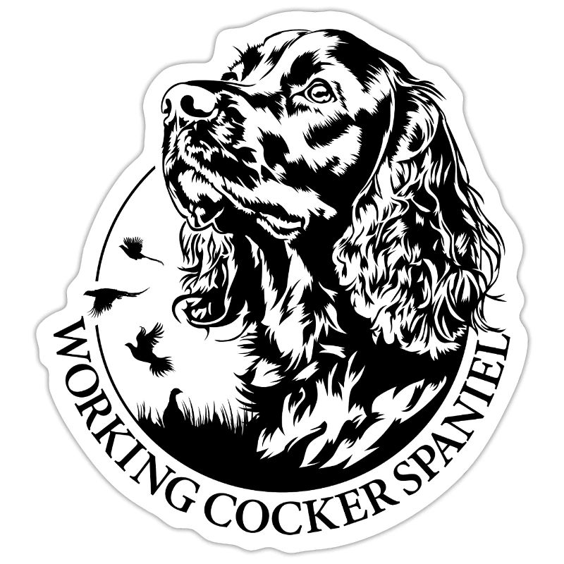 Working Cocker Spaniel Jagdhunde Hunde Wilsigns
