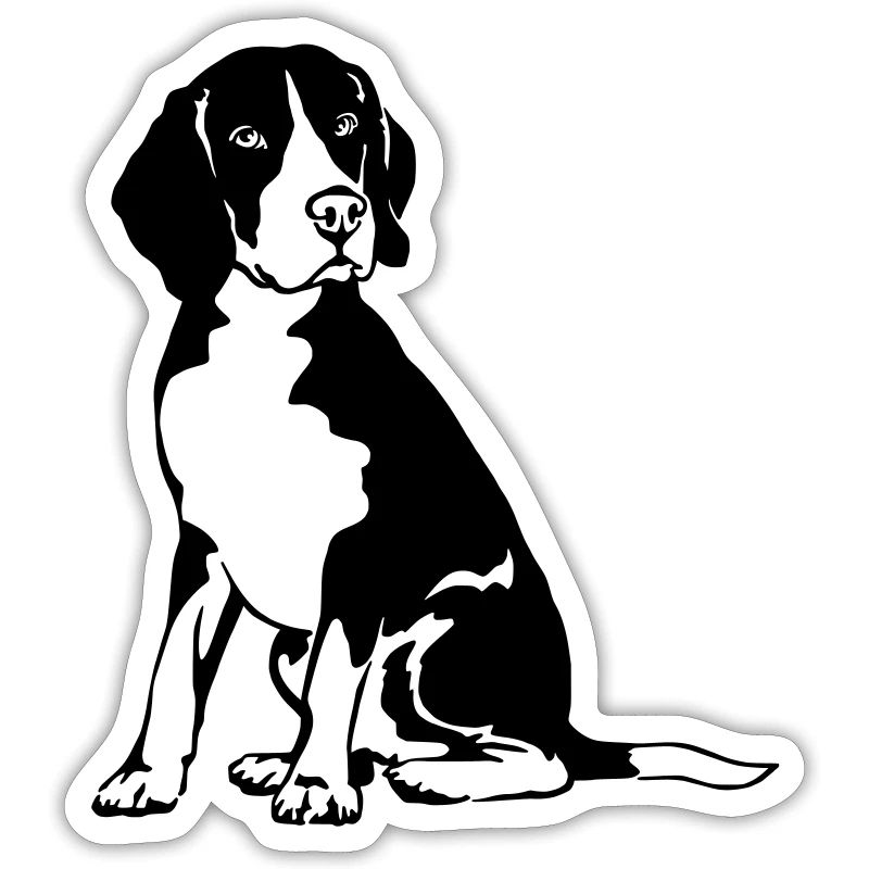 beagle