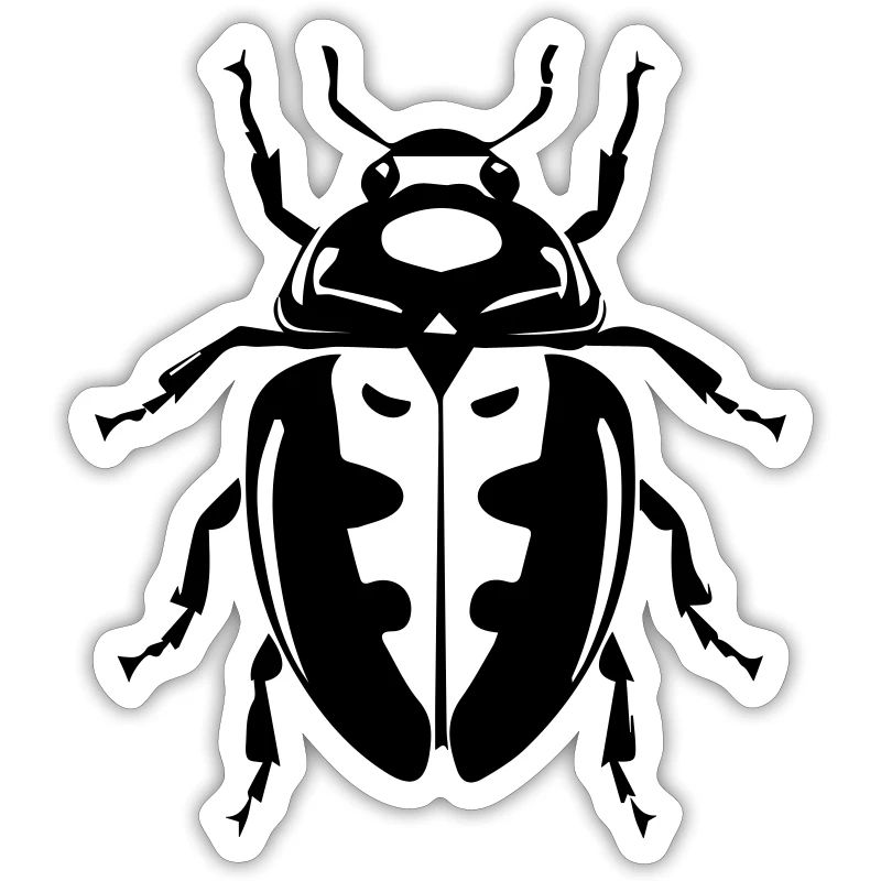 beetles insect