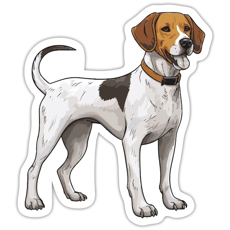 Beagle Dog