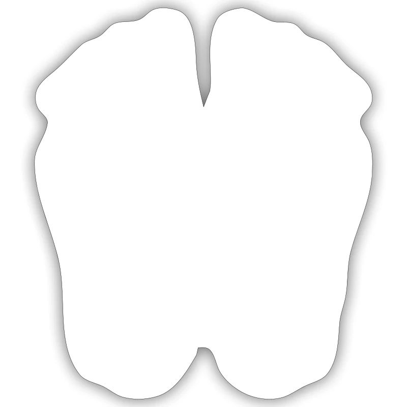 Empreinte empreinte conception blanc