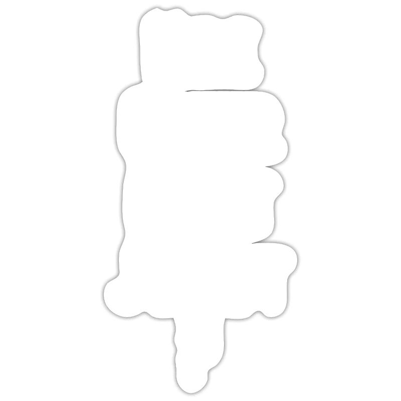 NEE ODER ECHT JETZT Lustiger Spruch Geschenkidee