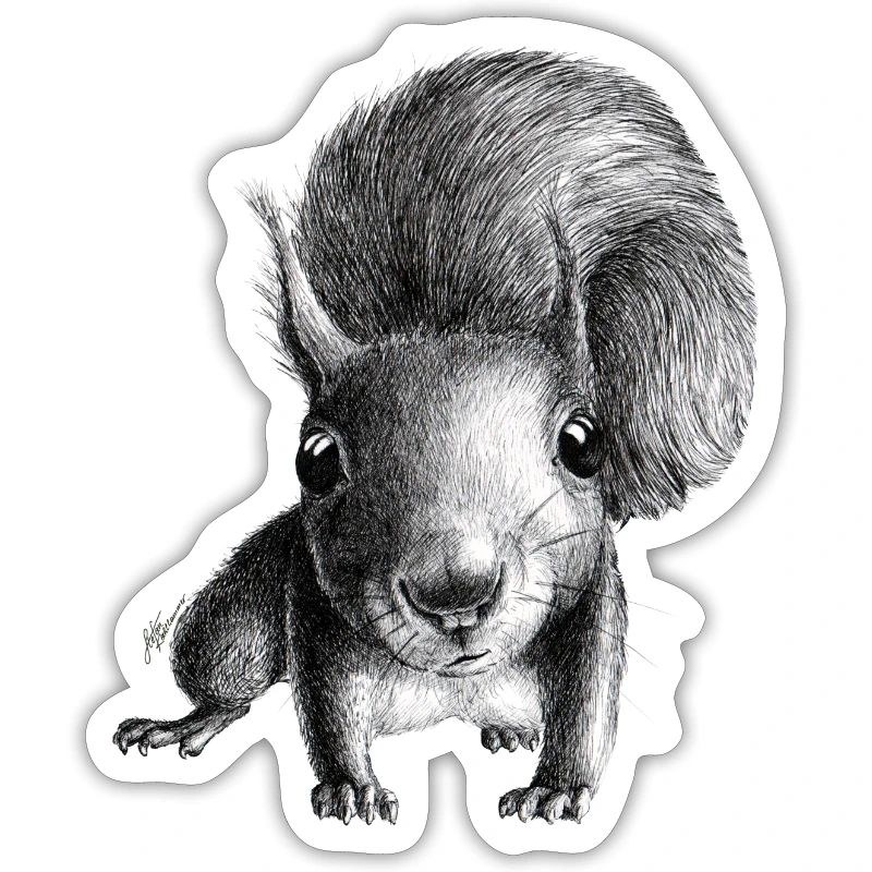 Eichhörnchen
