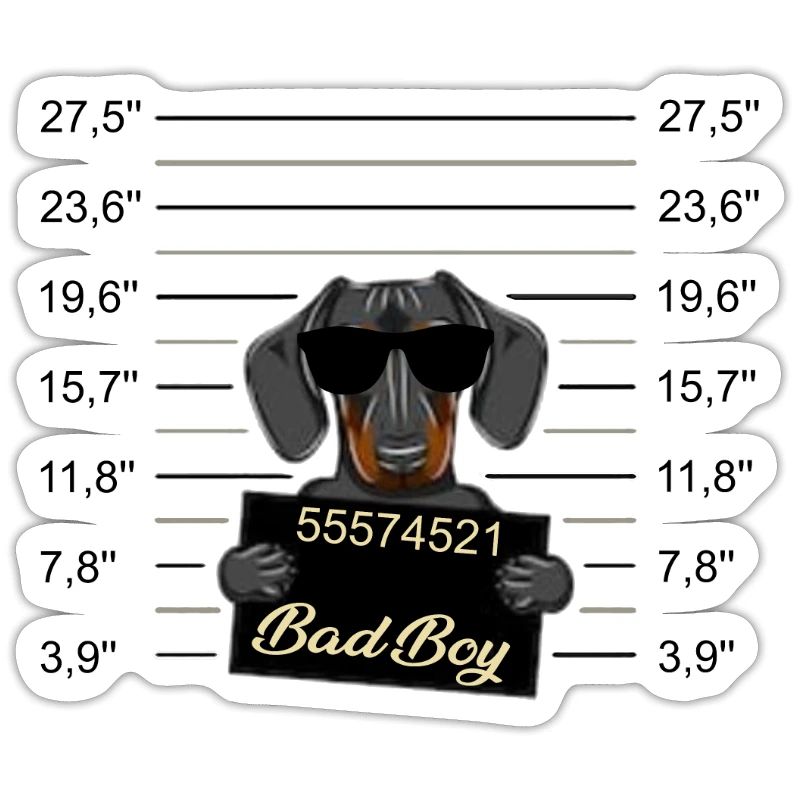 Bad Boy Dackel oder junger Dobermann - Böser Hund