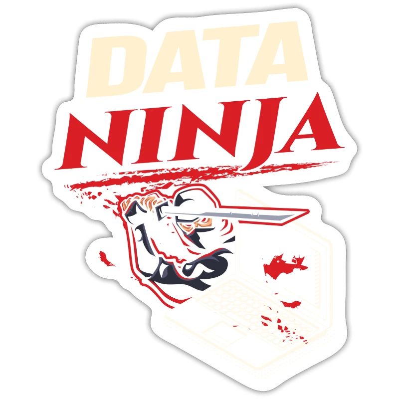 Data Ninja computer programming coder