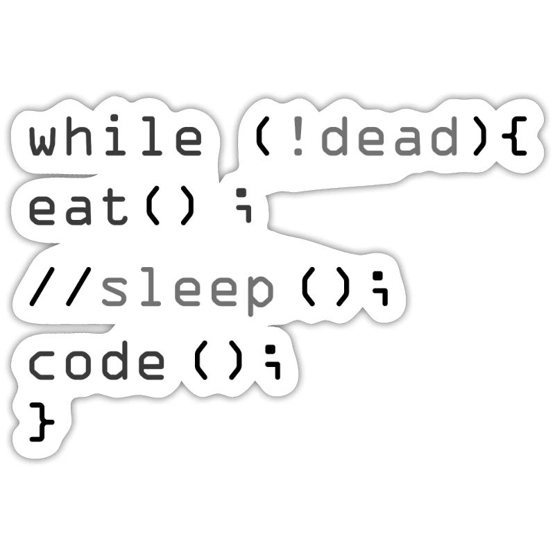 While Not Dead Eat Programmeur de code Sleep Hacker