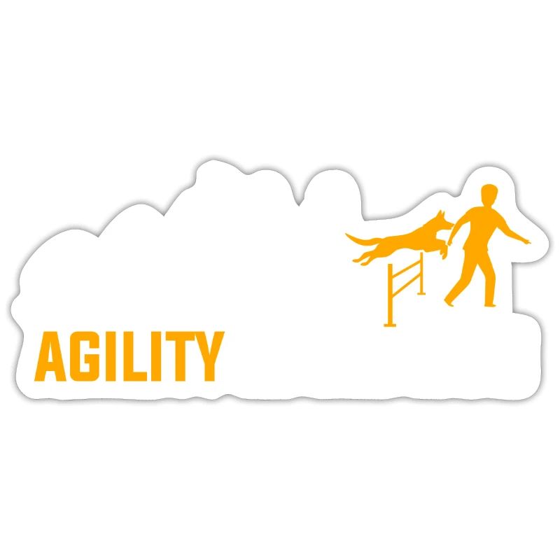 Agility Evolution