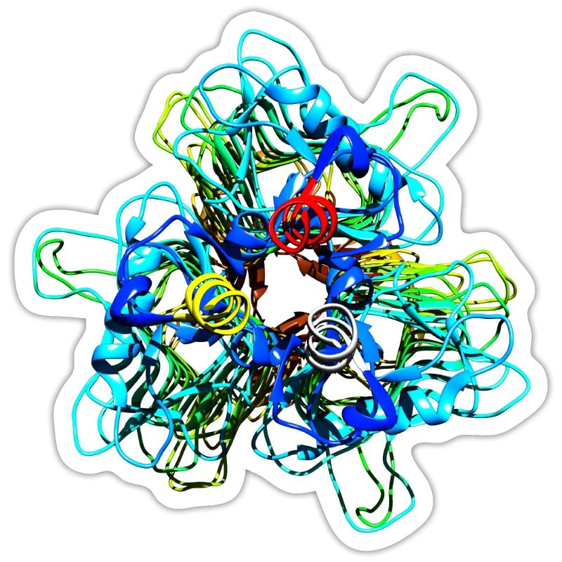 Native Tailspike Protein Molécule Bactériophage