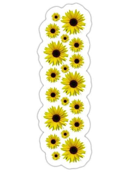 Sunflowers, sunflowers, flowers, flowers, floral - Sticker size S (10 x 10 cm) - white matte - Front