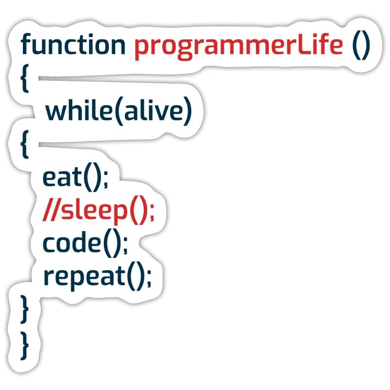Computerprogrammierer Codierer Software Engineers Geschenk