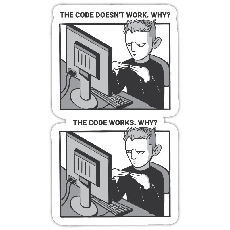 "My Code Works. WHY?" | Programmierer