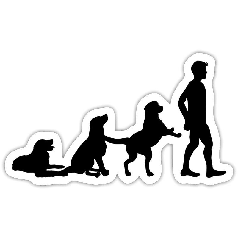 Dog evolution dogs walk development human