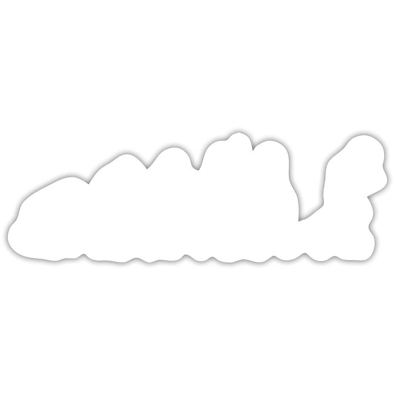 Roller Skating Evolution Idée cadeau