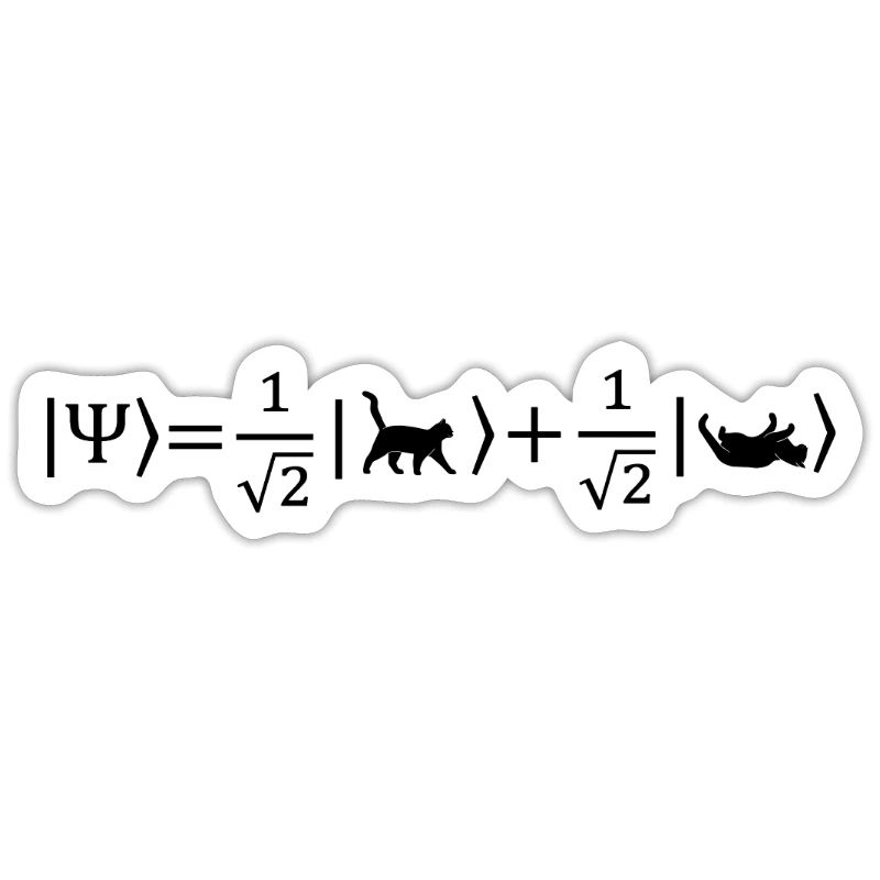 Schrödinger's Cat - Physicist Gift Physics Nerd