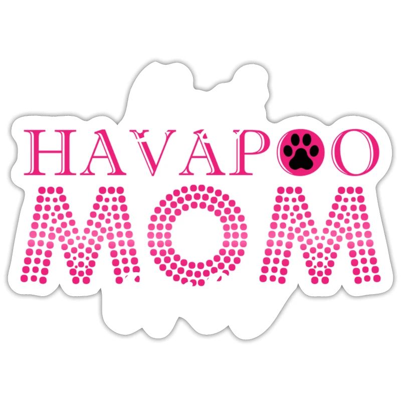 havapoo, havapoo havapoo ciel, mélange de caniche,