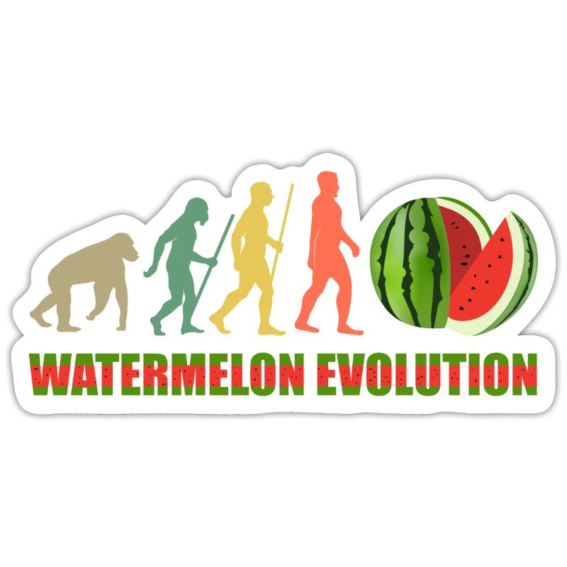 watermelon evolution development a watermelon