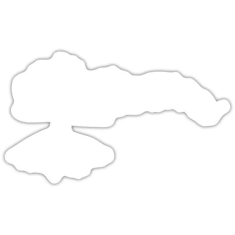 Tree Old Lonely Tree Old Tree Leafless Tree