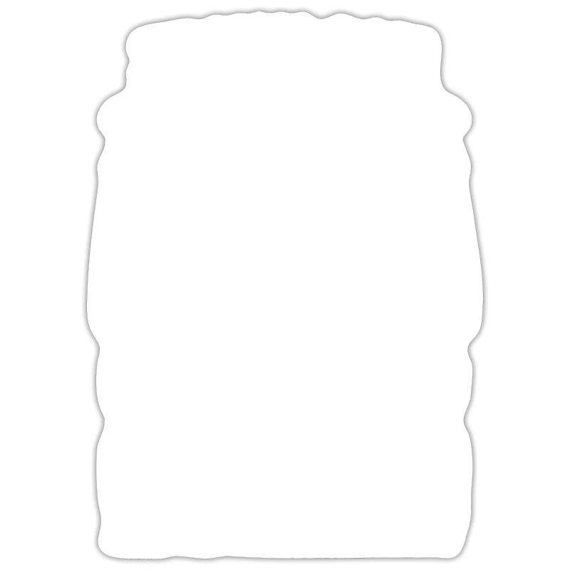 Programmeur De Coder Software Développeur