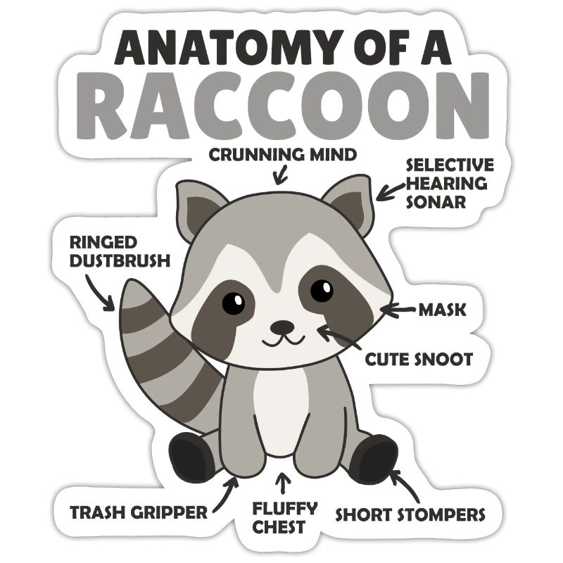 explication du raton laveur doux Anatomie d’un raton laveur