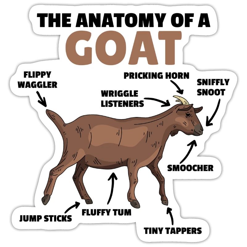Explication de l’anatomie d’une chèvre mignonne