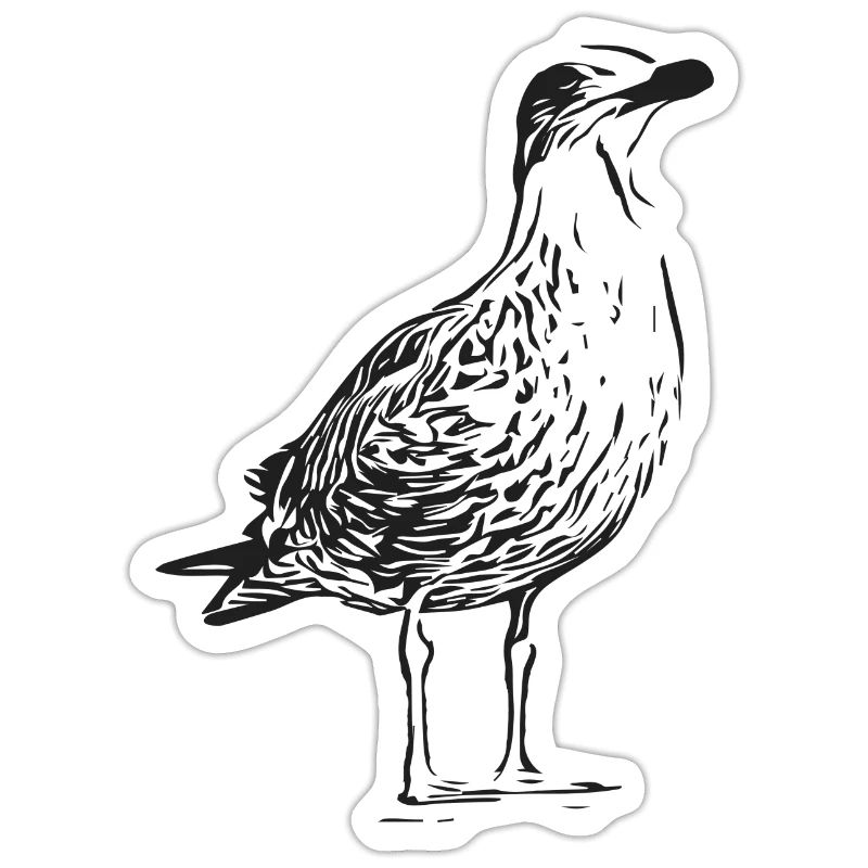 Eine Schöne Möwe