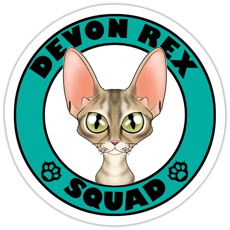 Devon Rex Squad I Amoureux des chats I Devon Rex Chat