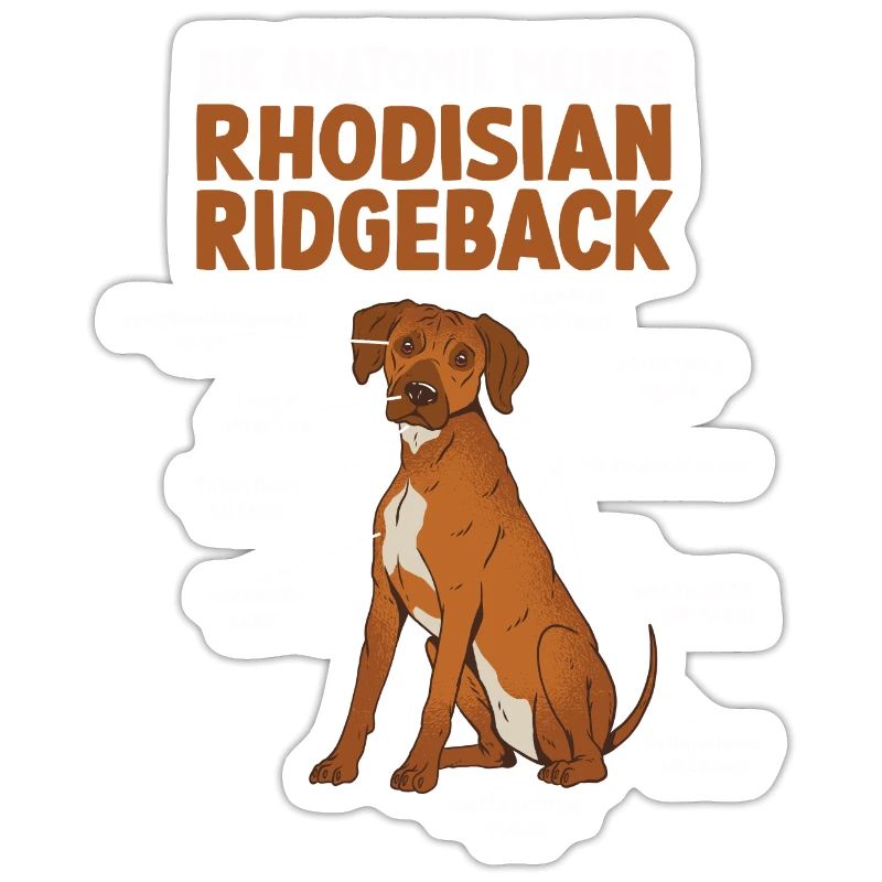 Rhodesian Ridgeback Anatomie Hundehalter Gassi