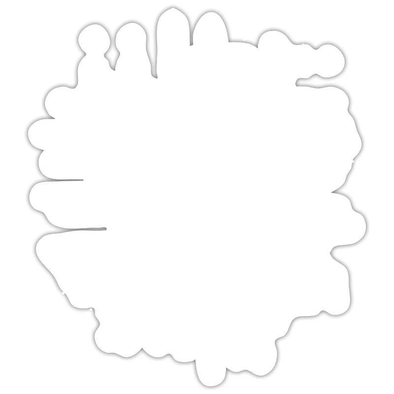 Sternbild Squirrel Constellation Eastern Gray Fox