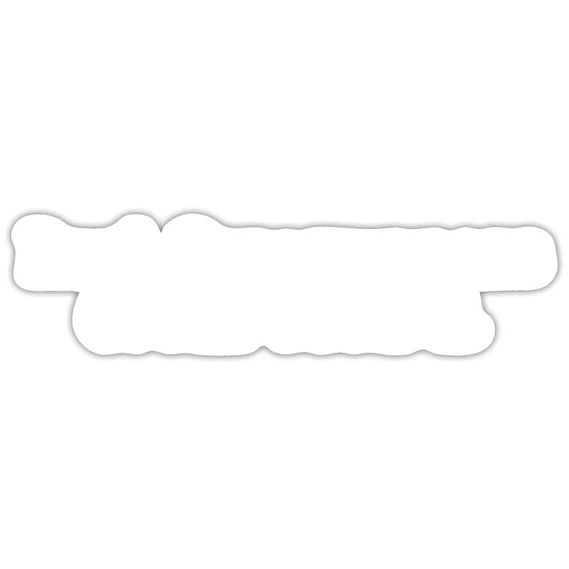 Programmer Coder Software Developer