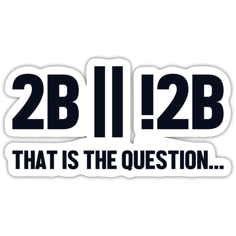 2B or not 2B Question Full Stack Coder Software