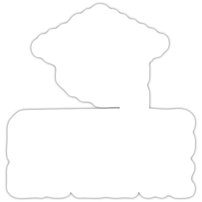 Programmeur Coder Développeur de logiciels