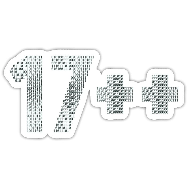 17++ Programmierer Developer Coder 18. Geburtstag