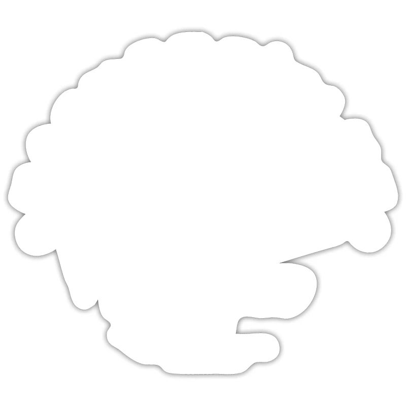 Programmer Coder Software Developer