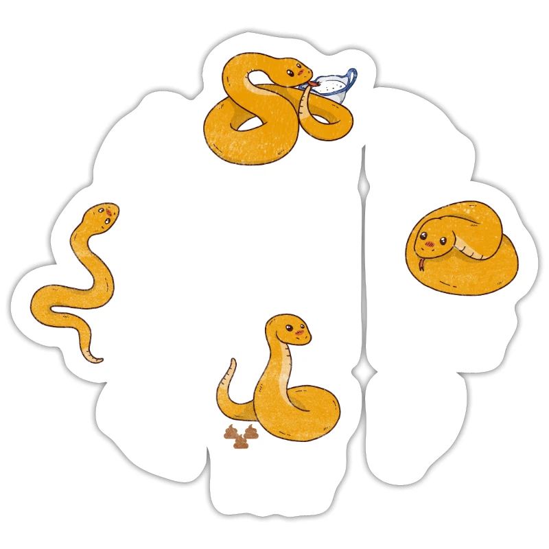 Snake Whisperer Python Boa Reptile Serpent Snake