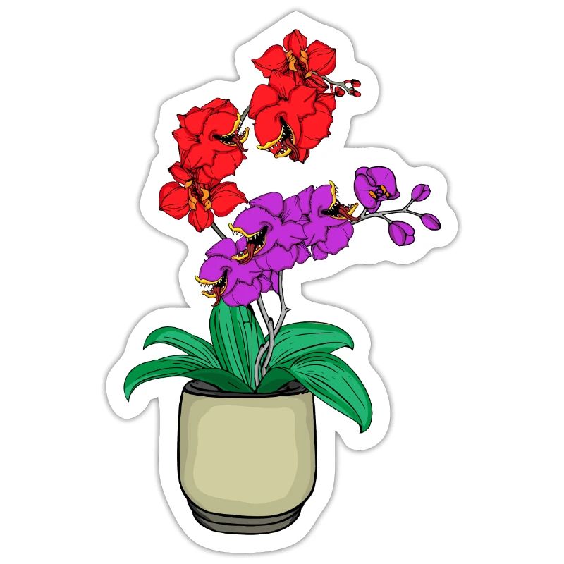 Orchid Carnivorous Venus Flytrap