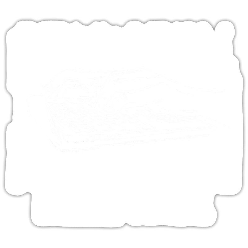 Programmer Coder Software Developer