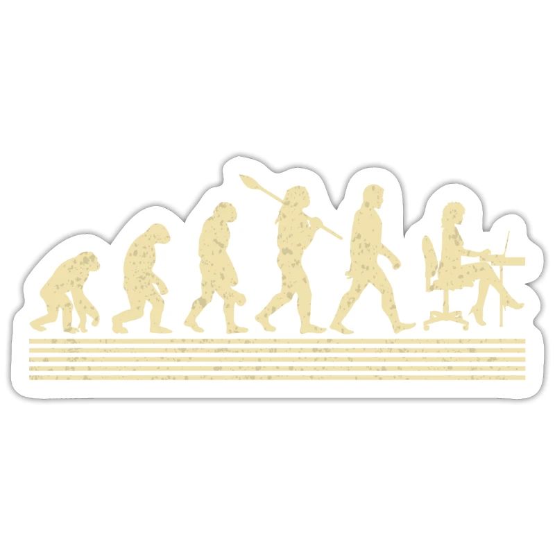 Accountant evolution