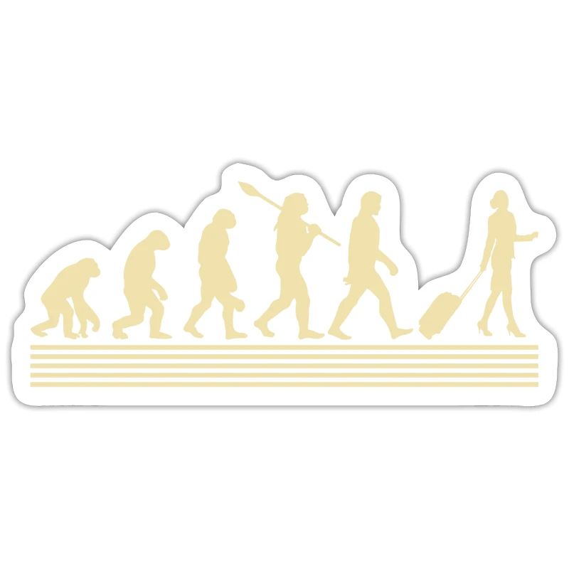 Stewardesses evolution