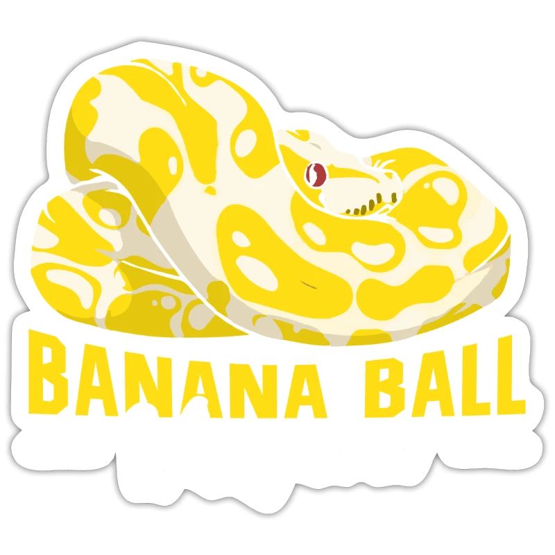 Banane boule Python Chuchoteur