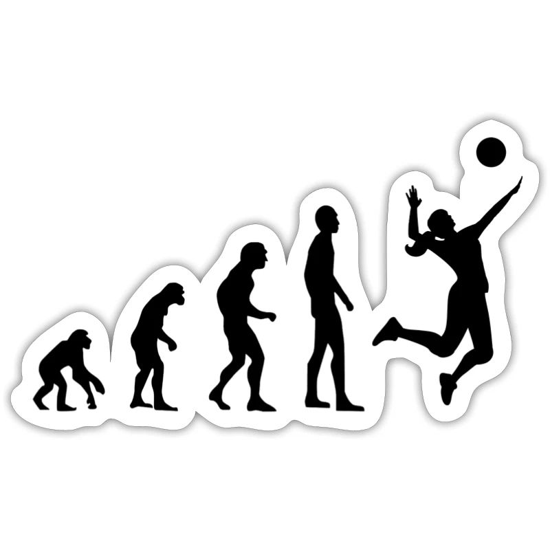 Évolution du volleyball