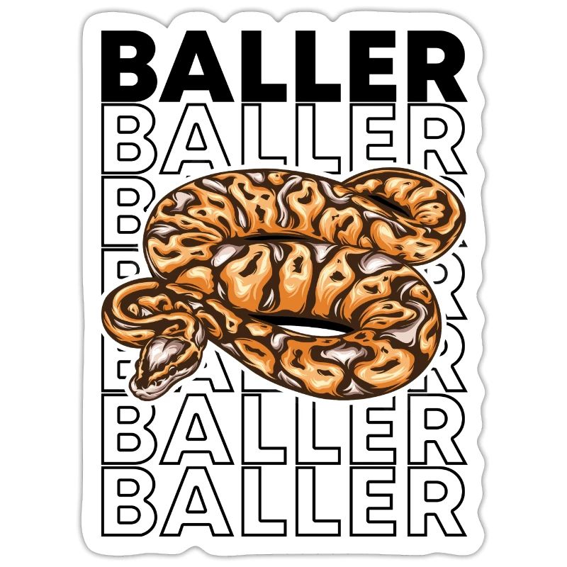 Ball Python 80's Style Baller Royal Python Snake