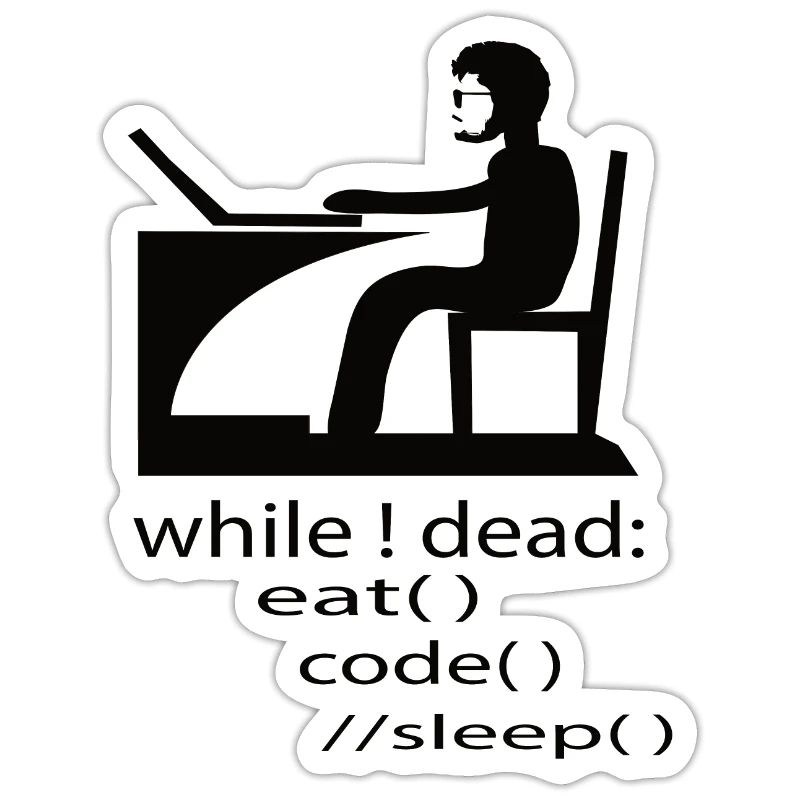 Softwareentwickler Programmierer Geschenk