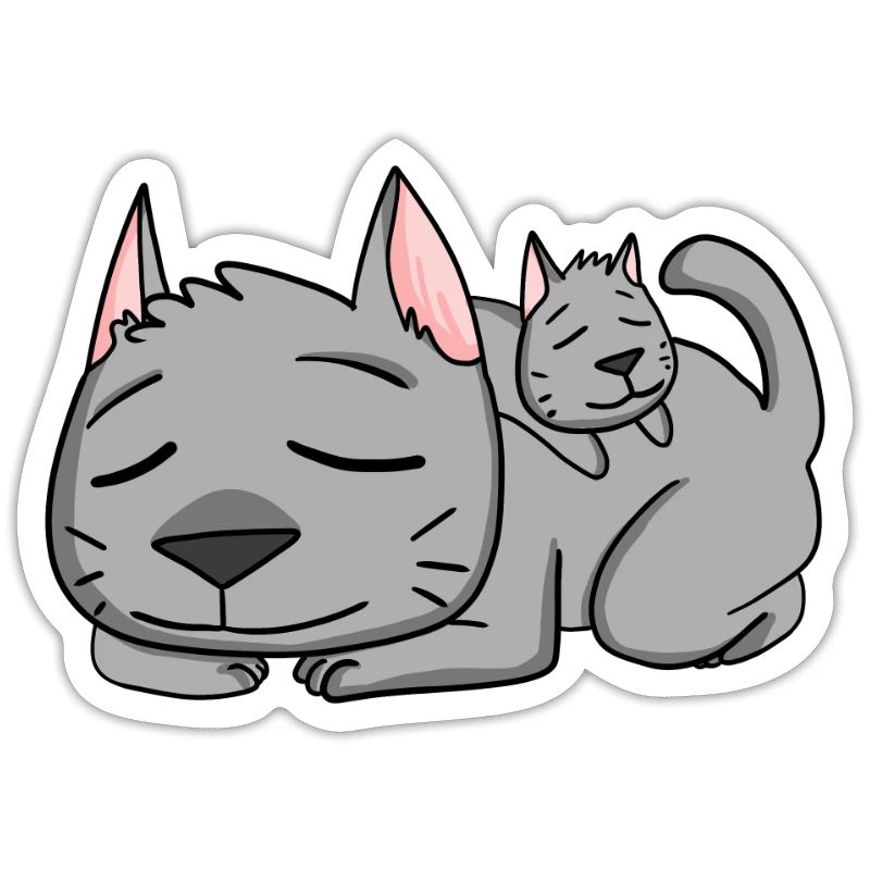 Chat avec bébé chat