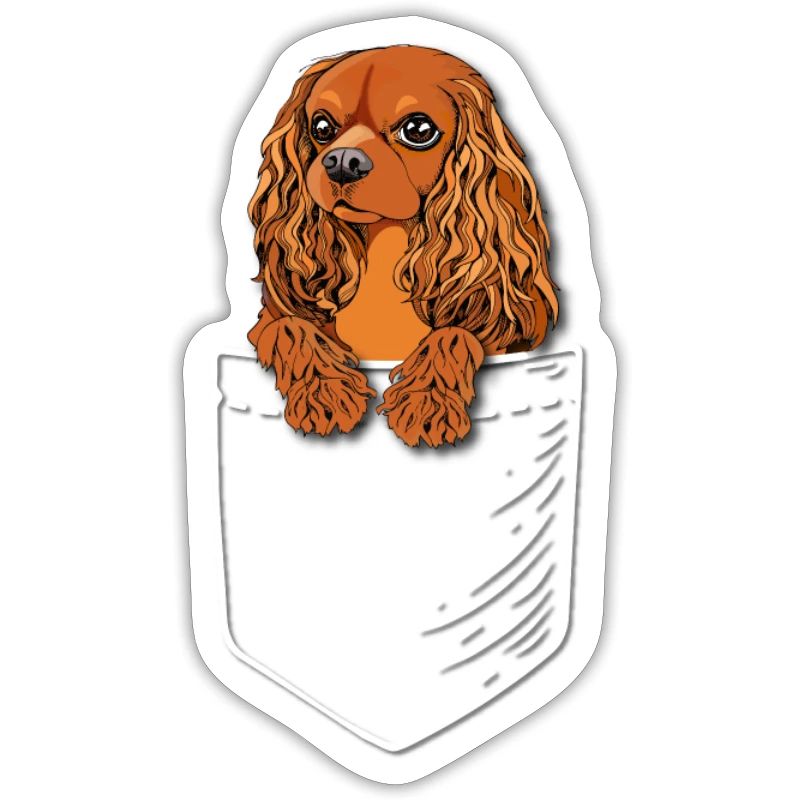Ruby Cavalier King Charles Spaniel